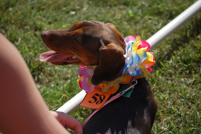 Oktoberfest 2008
