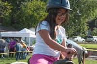 Pony rides at Oktoberfest 2016.