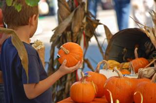 Boy with kettlecorn and pumpkins enjoying Jefferson City's Oktoberfest!